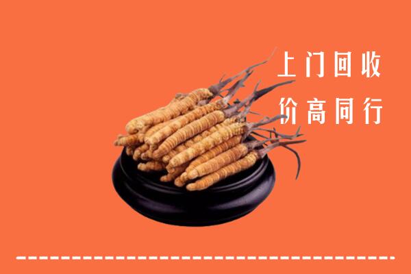 三沙西沙区回收散虫草