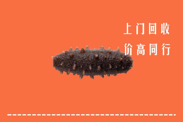 高价求购：三沙西沙区回收海参