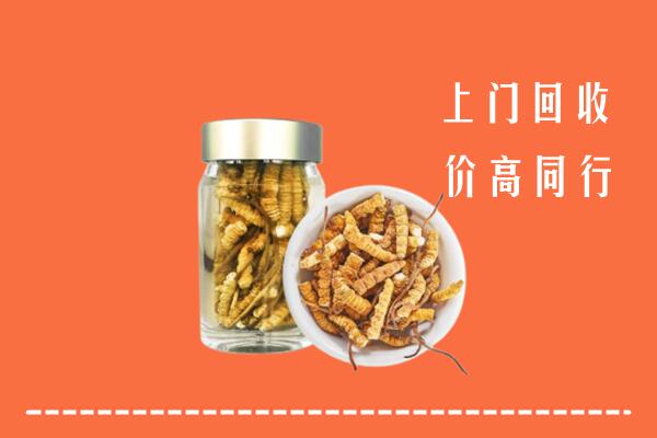 三沙西沙区回收冬虫夏草
