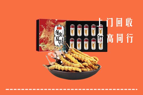 三沙西沙区回收虫草